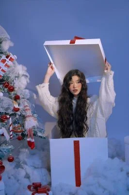 Mẫu Noel 191