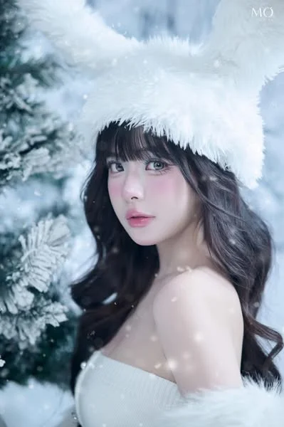 Mẫu Noel 295