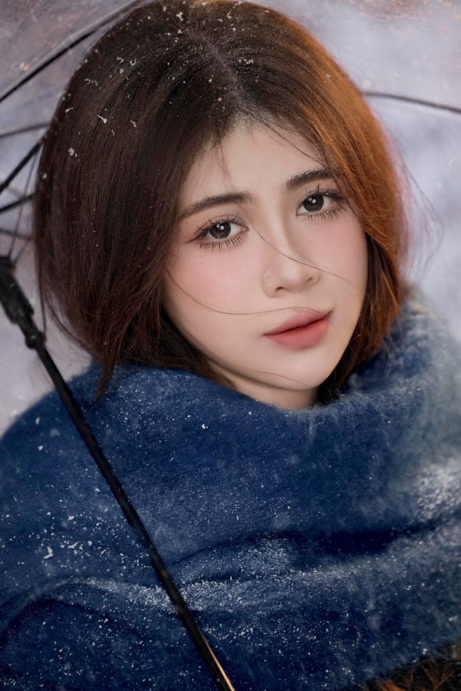 Mẫu Noel 296