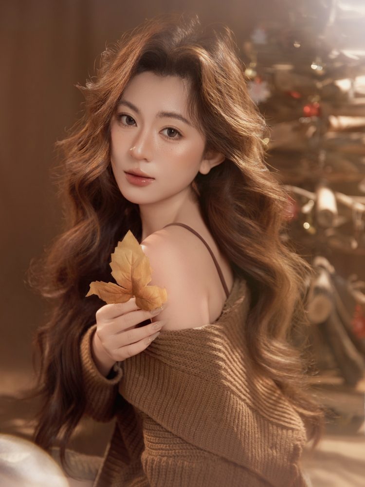 Mẫu Noel 520