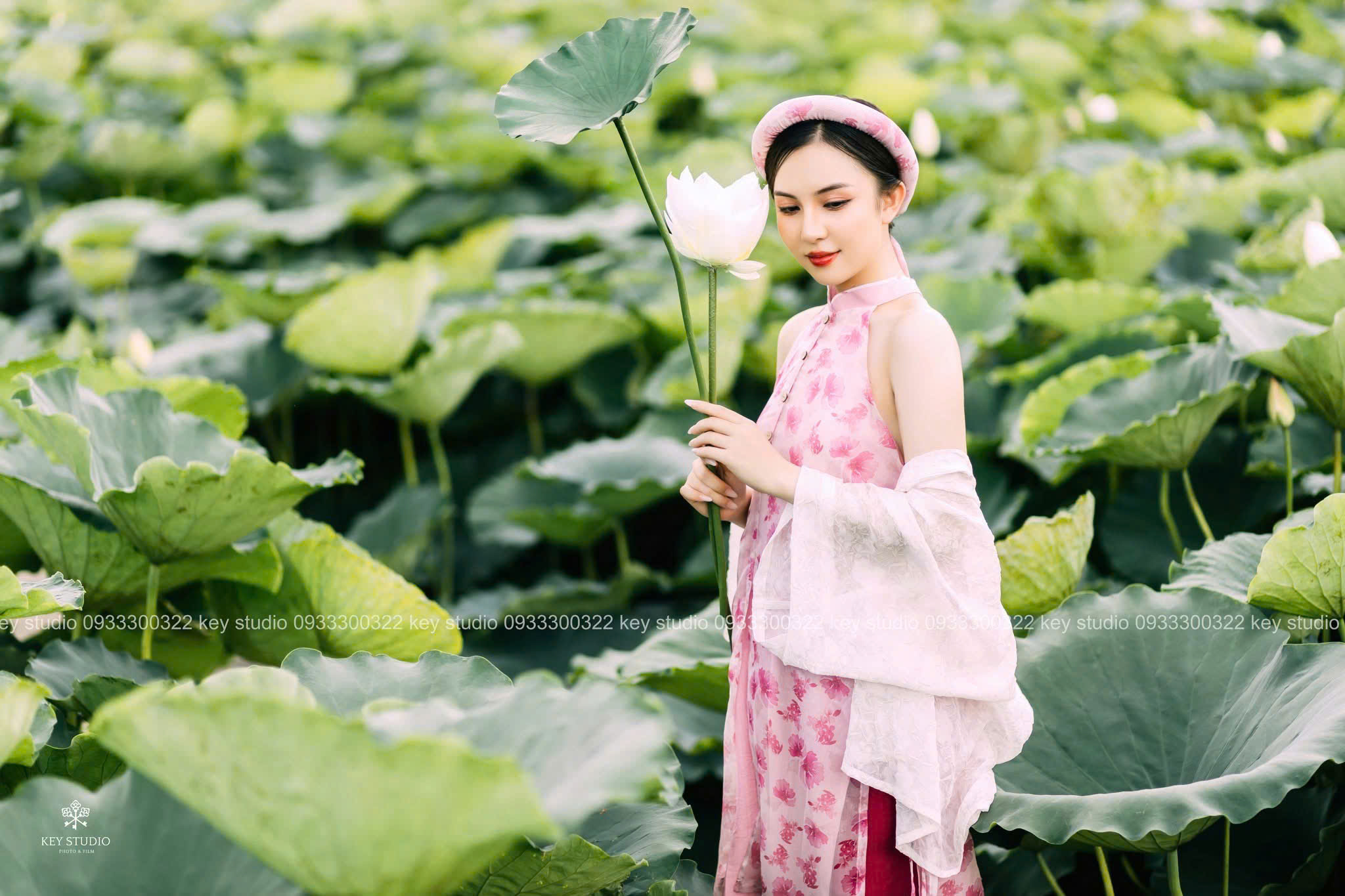 Mẫu Hoa Sen 072