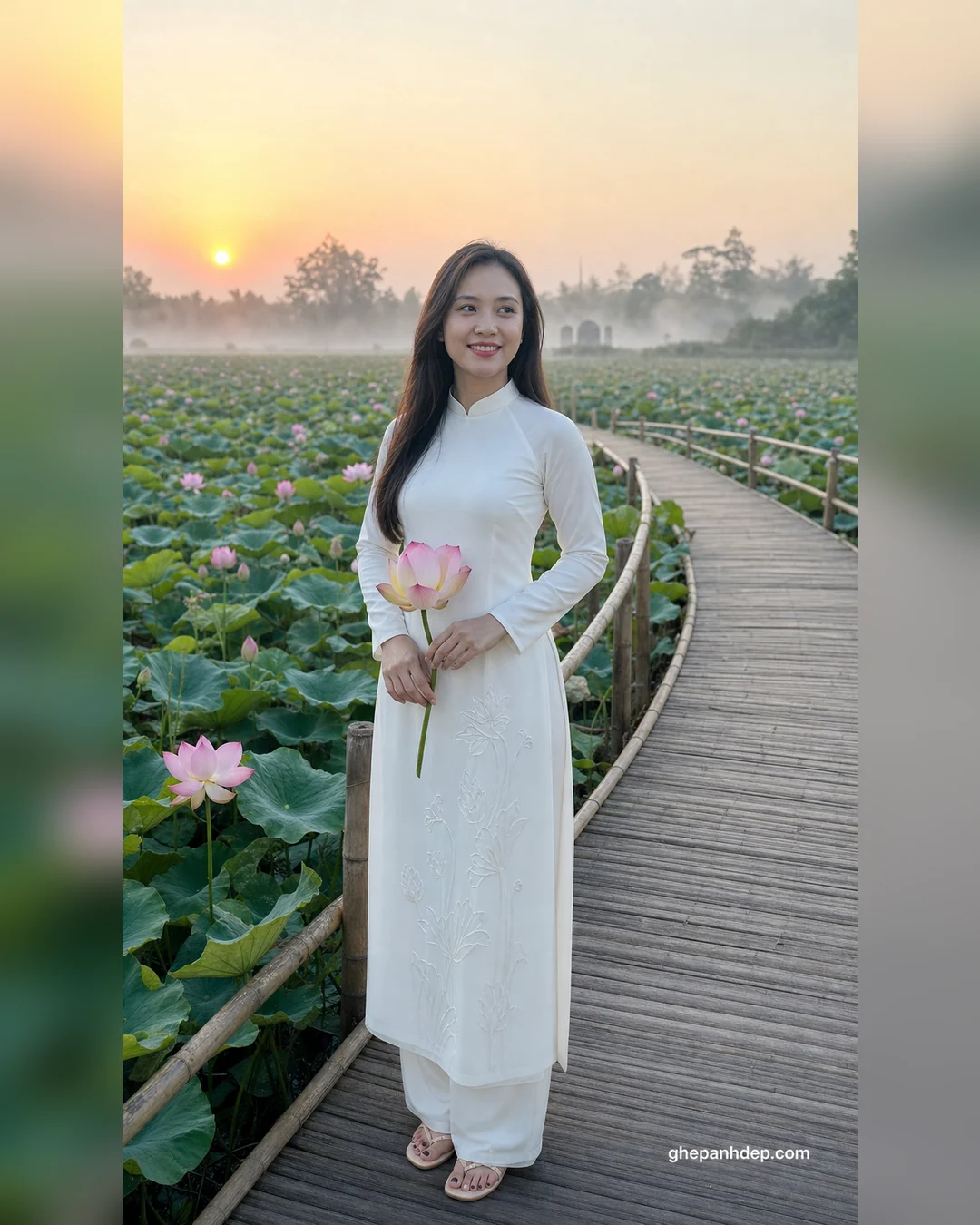 Ảnh áo dài trắng trên cầu tre hồ sen sớm mai - Ảnh hoa sen