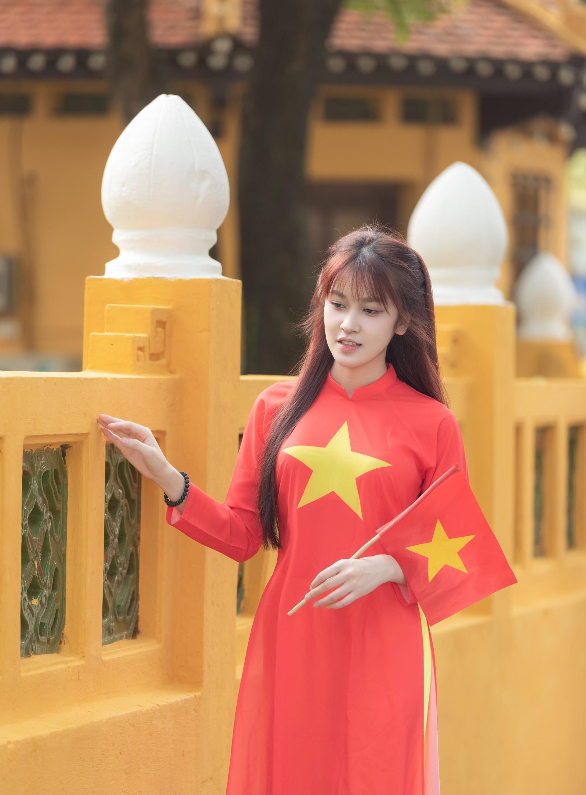 Mẫu 30/4 - 2/9 022